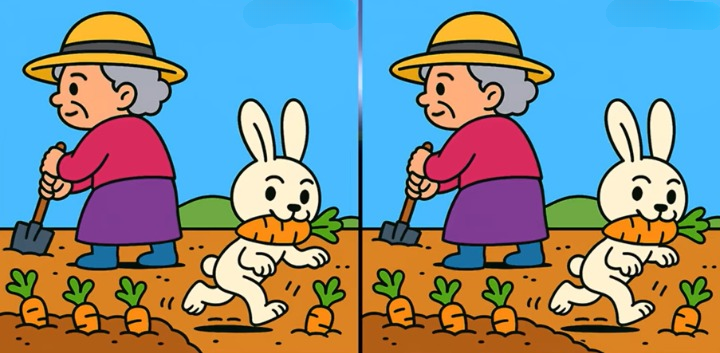 hádanka
