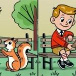 Aké sú rozdiely medzi týmito dvoma chlapcami: nájdite tri rozdiely